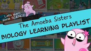 Amoeba Sisters Biology Learning Playlist Introduction [upl. by Nason30]