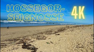 SEIGNOSSEHOSSEGOR VU DU CIEL 4K [upl. by Leahcimsemaj773]