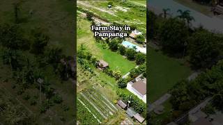 Farm staycation in Pampanga Philippines [upl. by Nancie]