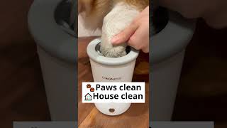 Automatic Dog Paw Cleaner for dog foot [upl. by Elburr]