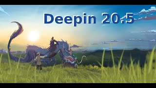 Deepin 205 Review en Español [upl. by Desdamona948]