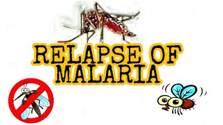 RELAPSE OF MALARIA  HYPNOZOITE  Exoerythrocytic cycle of Malaria  EASY AND SIMPLIFIED [upl. by Elokyn]