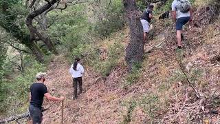 Truffle hunting near Bracciano Italy June 2024 [upl. by Aisemaj]