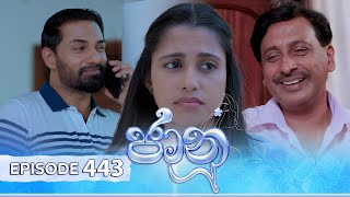 Jaanu  Episode 443  20241105  ITN [upl. by Harri]