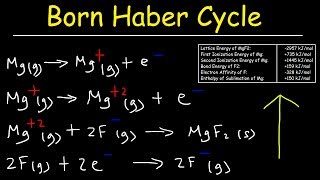 Born Haber Cycle Basic Introduction Lattice Energy Hess Law amp Enthalpy of Formation  Chemistry [upl. by Bear]