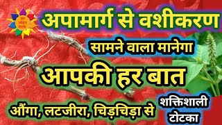 अपामार्ग  चिरचिटा की जड़ से आसान वशीकरण Chirchita Ke totke Apamarg se vashikaran vashikaran [upl. by Eipper358]