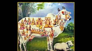 గోమాత ప్రార్థనgomatha imagesgomatha stotram mantram stutigomatha puja vidhigomatha importance [upl. by Krasnoff576]