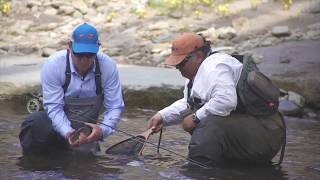 American Rivers Tour  Visiting Roscoe Trout Town of the USA in the Catskills [upl. by Esilenna]