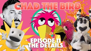 CHAD THE BIRD 11  The Details [upl. by Eyllek619]