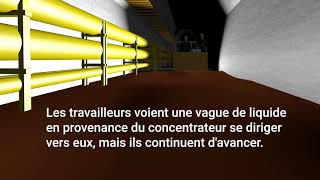 Rapport denquête  ArcelorMittal Exploitation minière Canada SENC [upl. by Hudnut]