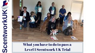 Scentwork L1 Trial [upl. by Bride77]