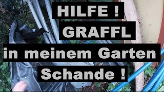 GRAFFL Haufen in meinem Garten HILFE [upl. by Elsinore406]