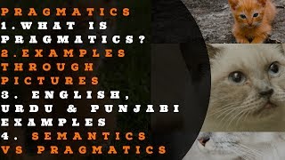 What Is Pragmatics  Semantics VS Pragmatics  English Urdu amp Punjabi Examples  Picture Examples [upl. by Giulio]