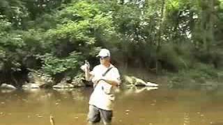 Hookset Fishing Creek fishing Delaware in July [upl. by Cornall]