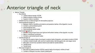 anterior triangle of Neck [upl. by Solon603]