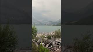 Kananaskis lake in Canada shorts Beautifulnature mountains lake travel Lakeview Deadtree [upl. by Watanabe]