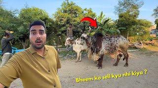 BHEEM Bull ko abhi tak sell kyu nhi kiya🙄😱 [upl. by Draper263]