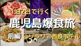 【鹿児島Vlog前編】観光グルメ満喫旅！！鹿児島旅行鹿児島グルメ天文館桜島九州食べ歩き名物グルメ黒豚旅動画ご当地グルメkagoshimajapanjapantravel [upl. by Alair]