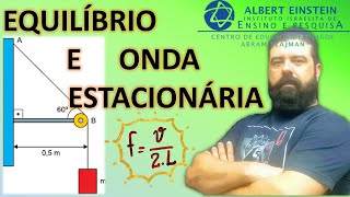 Albert Einstein 2019  39  Equilíbrio estático e frequência fundamental da onda estacionaria [upl. by Abbey]