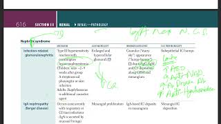 31 Nephritic syndrome  Infection related glomerulonephritis  IgA nephropathy  RPGN [upl. by Lesde]