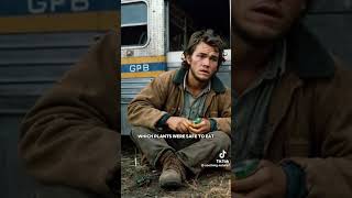 The true story of Christopher Mccandless [upl. by Latyrc]