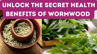 11 BENEFITS OF WORMWOOD  From Inflammation to Improved Digestion Wormwood Does It All [upl. by Adnawahs90]