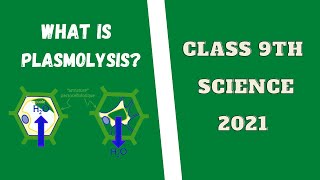 WHAT IS PLASMOLYSIS  CELL  SIMPLEST WAY TO LEARN  NCERT  BIOSCIFY [upl. by Niwred]