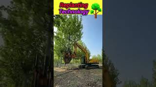 Replanting Technology 🔥technology ytshorts shorts facts plants trees [upl. by Ricki]