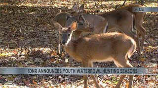 IDNR recently announced youth waterfowl hunting seasons [upl. by Bergstrom]