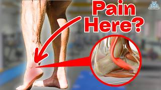 5 BEST Peroneal Tendinopathy Rehab Exercises [upl. by Teodora789]