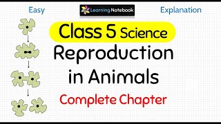 Class 5 Science Reproduction in Animals [upl. by Laemsi]