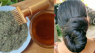 DIY Rosemary Oil for growth  Rosemary hairoil for hair growth Rosemary Hairoil  DIY Hairoil [upl. by Ayatnwahs15]