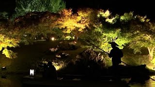 【紅葉シーズン】栗林公園で秋のライトアップ 和船に乗って眺めると時が経つのを忘れそう【香川】 [upl. by Airtal]