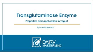 Transglutaminase Enzyme Properties and application in yogurt [upl. by Drapehs470]