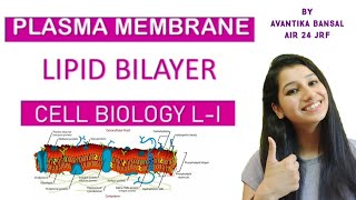 Lipid Bilayer Part 1Cell Biology L IPlasma membrane Types of lipid in membraneAsymmetry [upl. by Fin]