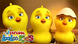 🐤🐥Los Pollitos Dicen Pio Pio Buen día Rosita Cerdita y Las Mejores Canciones Infantiles LooLoo Kids [upl. by Askwith655]