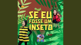 Se eu fosse um inseto [upl. by Aicila]