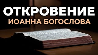 Откровение Иоанна Богослова Апокалипсис Читаем Библию вместе УНИКАЛЬНАЯ АУДИОБИБЛИЯ [upl. by Mcgrody]