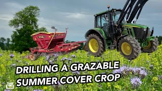 Planting a SUMMER COVER CROP To Improve SOIL HEALTH  Using A Vaderstad Rapid [upl. by Anirda]