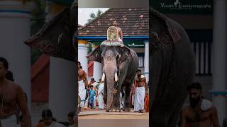 Poornatrayeesa Temple Tripunithura timing and vazhipadu information on 15JUL2024 kerala temple [upl. by Enyamrahc]