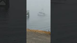 FV Kalori into the fog fishing crabbing oregoncoast coastguard fishinglife [upl. by Dew]