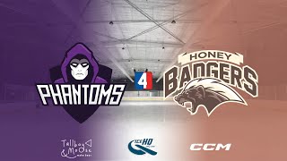 Phantoms v Honey Badgers  Div 4  9th October  IceHQ Rec League ice hockey [upl. by Niwdog274]