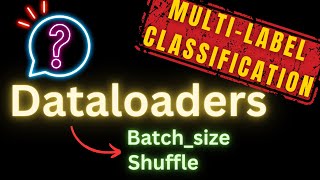 Multi Label Classification Dataloaders in Pytorch [upl. by Corso81]