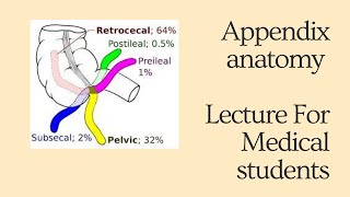 Appendix Anatomy  Lecture for Medical Students mbbs neet usmle fmge neetpg [upl. by Ner]