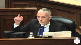 Trey Gowdy Grills DHS Official on Due Process [upl. by Garry167]