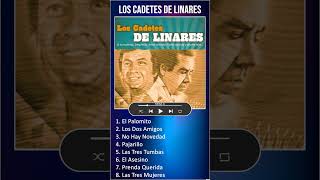 Los Cadetes De Linares MIX Grandes Exitos  El Palomito shorts [upl. by Rezeile178]