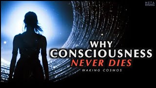 Why Consciousness is Immortal  The Philosophical Proof of Life After Death [upl. by Sirred427]