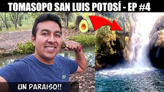 LLEGAMOS A TAMASOPO CAMPING Y A LA CASCADA DEL AGUACATE EN SAN LUIS POTOSI  EP 4 mochileando [upl. by Ancelin]