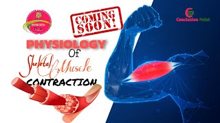 Muscle Contraction  Physiology  Coming Soon  Visual Animation ConclusionPoint [upl. by Drofwarc]