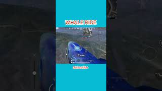 WHALE RIDE 33 update bgmi trending viral pubg shorts taubatauba bgms [upl. by Sices]